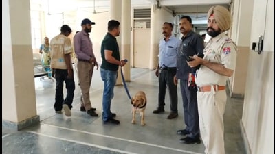 A search team along with a dog squad conducting a search operation in the Bathinda court complex on Monday. (Sanjeev Kumar/HT)