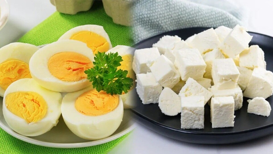 ডিম নাকি পনির? ওজন কমাতে চাইলে কোনটি খাবেন