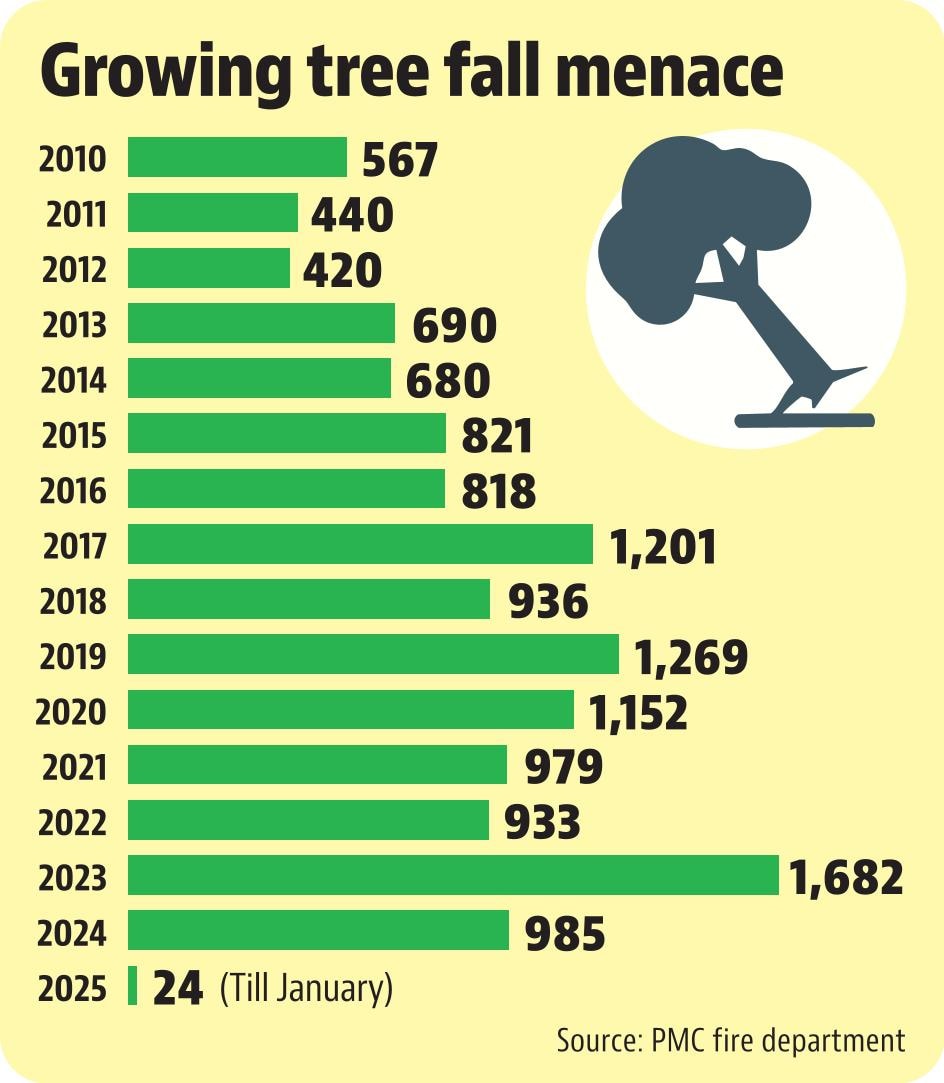 growing tree fall menace_gfx new