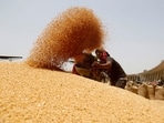 A worker sifts wheat before filling in sacks. (Representational image.)