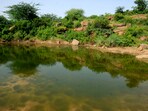 In its report, the CPCB stated that the use of bio-enzymes, including products like Draynzyme, is not suitable for ecological restoration. (HT)