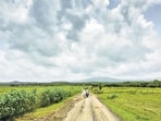 The construction of a highway from Varor village to Tawa village in Palghar to give high-speed direct connectivity to the proposed Vadhavan Port will extract an environmental toll of 72,790 trees, 21 ponds and 209 wells and borewells, besides necessitating the demolition of 611 houses. (Photo by Kunal Patil/Hindustan Times) (Kunal Patil/HT Photo)