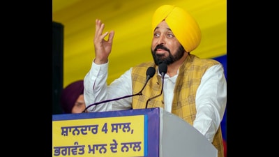 CM Bhagwant Mann addressing a gathering at Sham Chaurasi assembly constituency in Hoshiarpur on Tuesday. (ANI) CM Bhagwant Mann addressing a gathering at Sham Chaurasi assembly constituency in Hoshiarpur on Tuesday. (ANI)