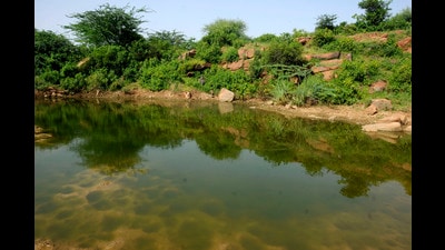 In its report, the CPCB stated that the use of bio-enzymes, including products like Draynzyme, is not suitable for ecological restoration. (HT) In its report, the CPCB stated that the use of bio-enzymes, including products like Draynzyme, is not suitable for ecological restoration. (HT)