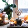 Feng Shui Tips