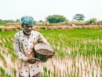 Govt raises fertiliser subsidy by <span class='webrupee'>₹</span>4,317 crore to shield farmers amid West Asia tensions Govt raises fertiliser subsidy by <span class='webrupee'>₹</span>4,317 crore to shield farmers amid West Asia tensions