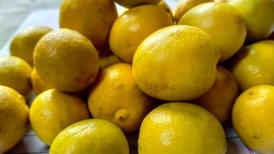 నిమ్మకాయల ధరలు
