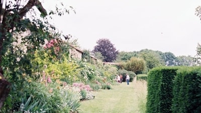 Spread over 80 acres, the well-laid-out garden was inaugurated on April 9, 1936, as Lady Willingdon Park. (Unsplash) Spread over 80 acres, the well-laid-out garden was inaugurated on April 9, 1936, as Lady Willingdon Park. (Unsplash)