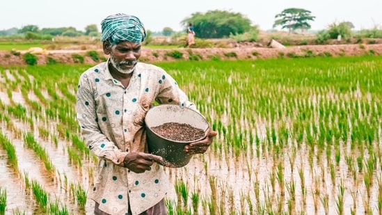 Govt raises fertiliser subsidy by ₹4,317 crore to shield farmers amid West Asia tensions (Representative image/Unsplash)