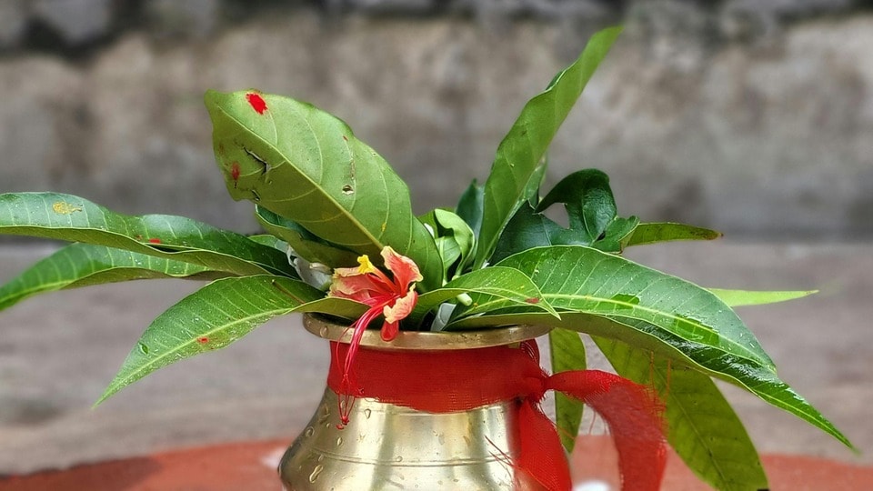 আমাদের ঐতিহ্যগত বিশ্বাস এবং জ্যোতিষশাস্ত্রীয় টিপসগুলো আমাদের জীবনকে আরও সুশৃঙ্খল ও ইতিবাচক করার জন্য। যদিও এগুলো বিশ্বাস করা ব্যক্তিগত বিষয়, তবুও সতর্ক থাকতে ক্ষতি নেই। ছোটখাটো এই পরিবর্তনগুলো হয়তো আপনার ঘরকে নেতিবাচকতা থেকে দূরে রাখতে এবং সম্পর্কের মাধুর্য বজায় রাখতে সাহায্য করতে পারে।