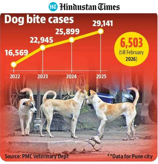 HT graphic HT graphic