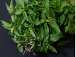 Do you use curry leaves for health benefits? Here is what celebrity dietician Simrat Kathuria wants you to know. (Instagram/ simratkathuria and Freepik)