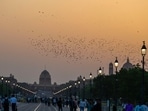 Gram it: A murmuration of rosy starlings recently spotted in the sky at Kartavya Path. Lending a warm hue to the summer sunsets are the street lanterns that line-up all the way to the Rashtrapati Bhavan.  