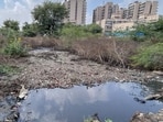 The plot seen filled with sewage on Wednesday. (Parveen Kumar/HT)
