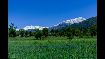 According to data from the Meteorological Centre in Shimla, the unusually low night temperature broke a decades-old record. The previous comparable low for April was recorded in 1979, when the mercury had dipped to around 3.4°C. (PTI) According to data from the Meteorological Centre in Shimla, the unusually low night temperature broke a decades-old record. The previous comparable low for April was recorded in 1979, when the mercury had dipped to around 3.4°C. (PTI)