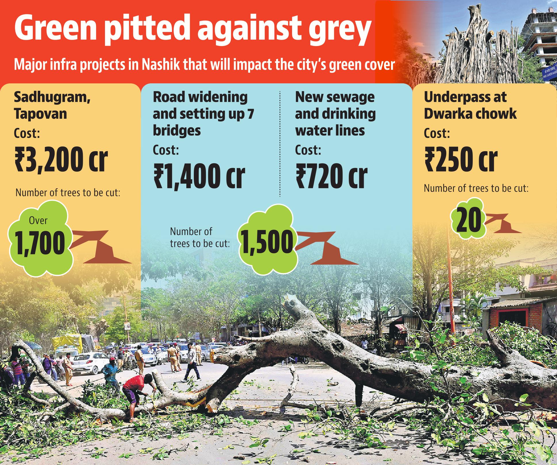 10 apr nashik tree cutting1 10 apr nashik tree cutting1
