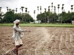 Farmer (ANI)