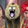 ‘পরিণীতা’-র নতুন প্রমো দেখে হেসে খুন নেটপাড়া