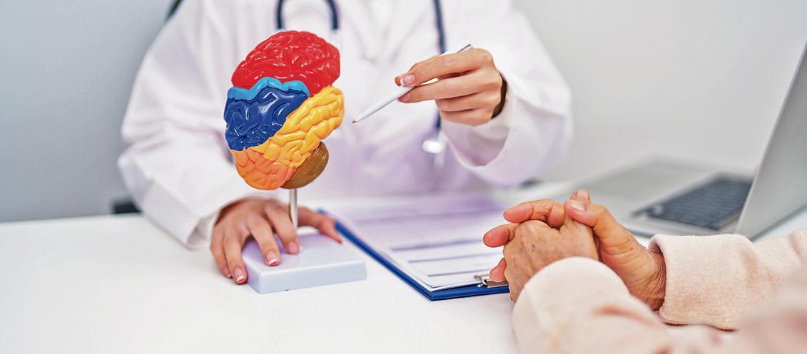 Parkinson's disease damages and kills nerve cells in a specific brain area called the substantia nigra. Parkinson's disease damages and kills nerve cells in a specific brain area called the substantia nigra.