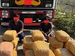 210 kg cannabis worth <span class='webrupee'>₹</span>20 crore seized; NCB nabs 4 in inter-state drug racket 210 kg cannabis worth <span class='webrupee'>₹</span>20 crore seized; NCB nabs 4 in inter-state drug racket