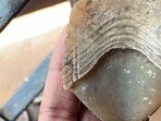 DRI seizes 16.5 kg pangolin scales, busts inter-state wildlife trafficking syndicate.