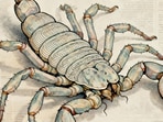 Scorpio Horoscope Today: Read our expert astrological predictions to find out what the stars have in store for you.
