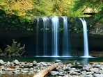 The techie drowned at a waterfall in the United States