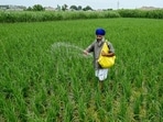 Farmer (Photo by Narinder NANU / AFP) (AFP)