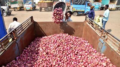 More than five lakh growers in the district, Maharashtra’s largest onion-producing region, have been affected as prices fall across 17 APMCs, including Asia’s biggest onion market at Lasalgaon, where wholesale rates are hovering between ₹800 and ₹1,000 per quintal. (HT) More than five lakh growers in the district, Maharashtra’s largest onion-producing region, have been affected as prices fall across 17 APMCs, including Asia’s biggest onion market at Lasalgaon, where wholesale rates are hovering between ₹800 and ₹1,000 per quintal. (HT)