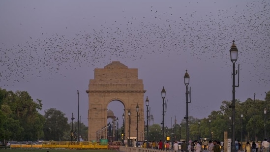 Gram it: Have you spotted a murmuration of rosy starlings in the sky yet? Here's one that was recently observed by visitors at Kartavya Path. Murmuration a term used for the coordinated and wave-like movements of flocks of birds that resemble a shifting or breathing cloud. This phenomenon is witnessed only twice a year in Delhi ie in March-April and August-September. (Photo: Raj K Raj/HT)