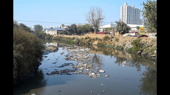 The Badshahpur Drain connecting from Ghata to the Najafgarh Drain via Gadoli Khurd near Sector 37. (Parveen Kumar/HT)
