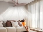 BLDC fans with remote come with LED lights.