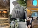 A look inside a tree-shaped office in Delhi. 