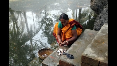 A woman prepares fish for lunch at the pond in front of her house in Kumrokhali, West Bengal. (Shutterstock) A woman prepares fish for lunch at the pond in front of her house in Kumrokhali, West Bengal. (Shutterstock)