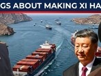 IRGC forces Chinese ship to flee Hormuz as Trump tries to woo Xi? IRGC forces Chinese ship to flee Hormuz as Trump tries to woo Xi?