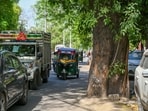 Survey across 17 sector roads cites hazard from trees on carriageways; civic body plans 10x afforestation as compensation after removal (Parveen Kumar/HT)