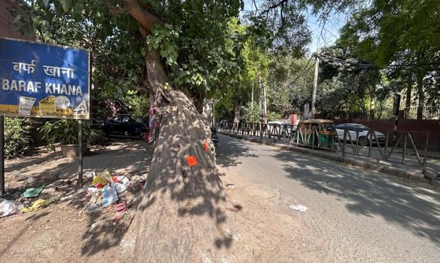 Trees near footpaths and carriageways flagged on 17 roads; civic body says storms and weak roots increase risks, plans compensatory planting (Parveen Kumar/HT) Trees near footpaths and carriageways flagged on 17 roads; civic body says storms and weak roots increase risks, plans compensatory planting (Parveen Kumar/HT)