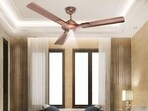 These ceiling fans come BLDC technology, which makes them energy efficient.