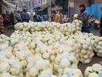 Cauliflower farming has flourished in Dichaon Kalan, however, concern persists as some farmers are forced to use polluted drain water for irrigation.