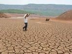 Satara: A man walks on the dried-up bed of Shivsagar Lake (Koyna backwaters) on a hot summer day, in Satara, Maharashtra, Friday, June 7, 2019. (PTI Photo)(PTI6_7_2019_000076A) (PTI)