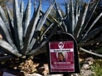TUCSON, ARIZONA - FEBRUARY 27: A picture of Nancy Guthrie is displayed on a mailbox in front of her home on February 27, 2026 in Tucson, Arizona. (Photo by JUSTIN SULLIVAN / GETTY IMAGES NORTH AMERICA / Getty Images via AFP)