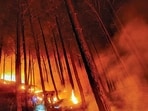 Forest Fire (PTI) Forest Fire (PTI)