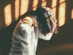 Read more to find out how effective internet migraine hacks actually are.(Unsplash)