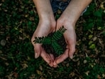 Earth Day 