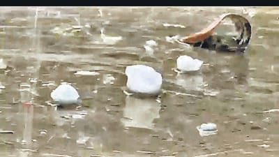 Hailstorm, rain lash parts of Pune; IMD issues yellow alert till April 25 Hailstorm, rain lash parts of Pune; IMD issues yellow alert till April 25