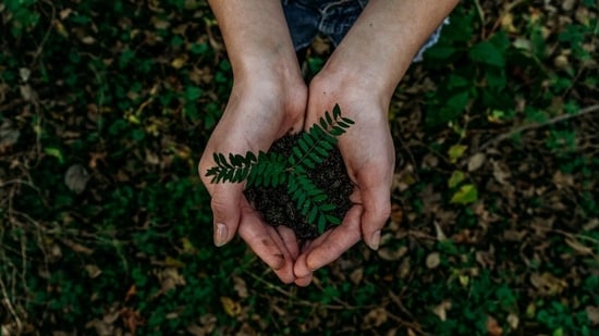 Earth Day (Representative Image- Unsplash )