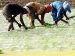 A sub-committee of state ministers had submitted a recommendation for higher compensation. (Representative photo) A sub-committee of state ministers had submitted a recommendation for higher compensation. (Representative photo)