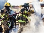 A vegetation fire was reported at Fort Collins. Image for representational purposes. A vegetation fire was reported at Fort Collins. Image for representational purposes.