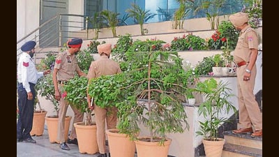 Police conduct checks at a private school in Ludhiana following the threat email on Thursday; and (right) parents gather outside a school to pick up their children. (Gurpreet Singh/HT) Police conduct checks at a private school in Ludhiana following the threat email on Thursday; and (right) parents gather outside a school to pick up their children. (Gurpreet Singh/HT)