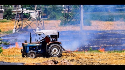The CRM allocation accounts for 58% of the total funds sanctioned for the state’s agriculture sector. (Gurpreet Singh/HT) The CRM allocation accounts for 58% of the total funds sanctioned for the state’s agriculture sector. (Gurpreet Singh/HT)